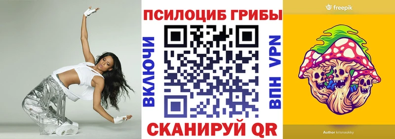 наркота Чебоксары Псилоцибиновые грибы Magic Shrooms