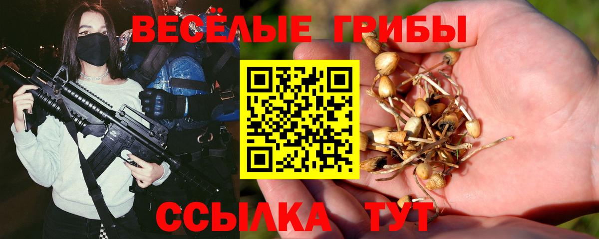 Галлюциногенные грибы MAGIC MUSHROOMS  Псилоцибиновые грибы мицелий  Вход с VPN  Чебоксары 